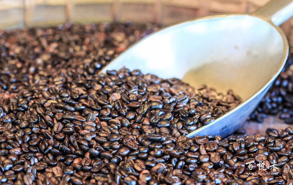 云南产的“小粒咖啡”到底是有多大来头？它是怎么进入中国云南的呢？